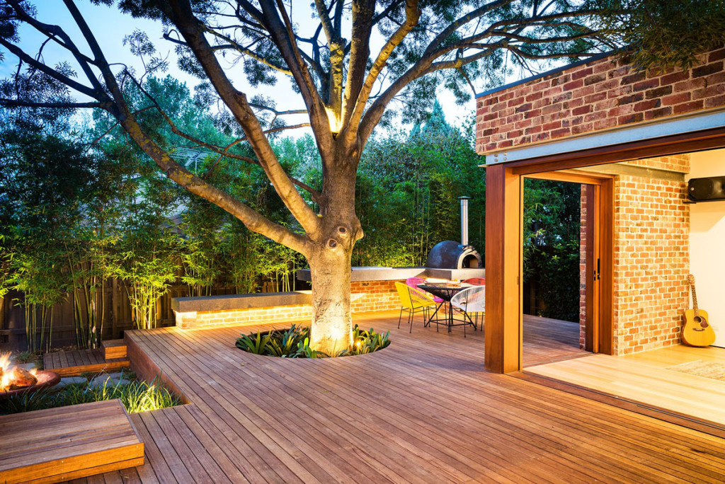 big-tree-in-backyard-patio