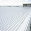 <?php echo All About Roof Coatings; ?>
