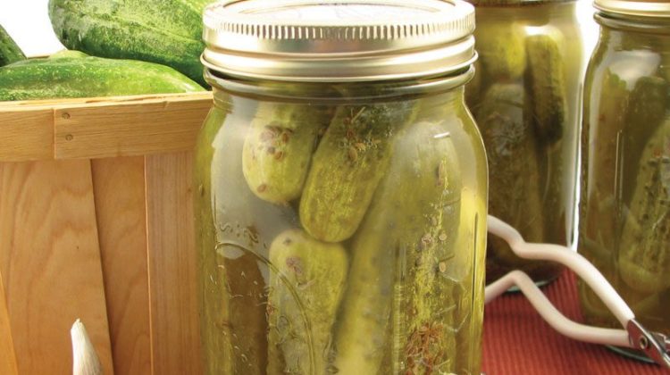 homemade fermented pickles