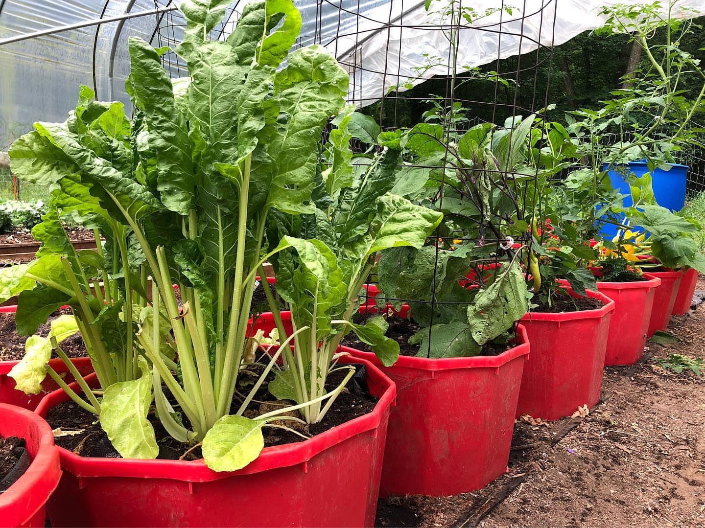 Easy Wicking Tubs America Top 10 Best Property Managers